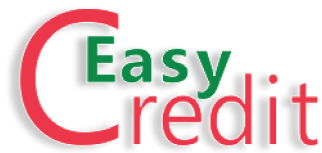 Easy Credit logo